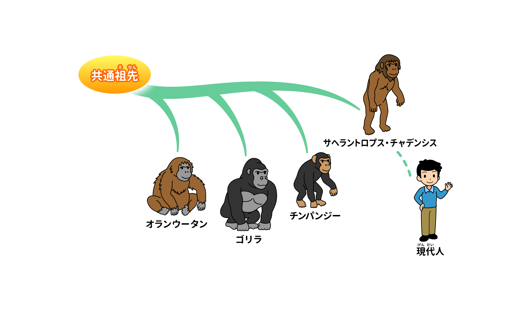 人間はいつ サルから分かれたの ヒト 科学なぜなぜ110番 科学 学研キッズネット