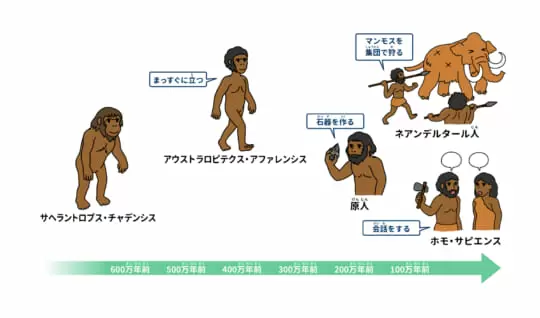 ヒト | 科学なぜなぜ110番 | 科学 | 学研キッズネット