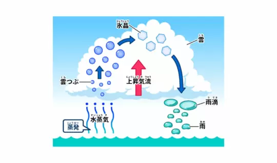 雨はどんなしくみで降るの？