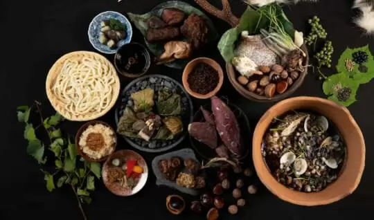 旧石器・縄文・弥生時代には何を食べていた？　　ーQ&A編ー