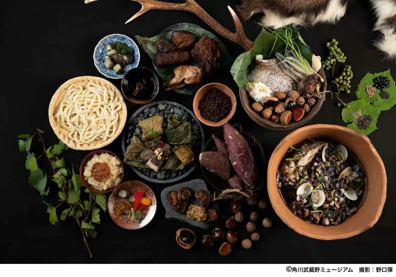 旧石器・縄文・弥生時代には何を食べていた？　　ーQ&A編ー