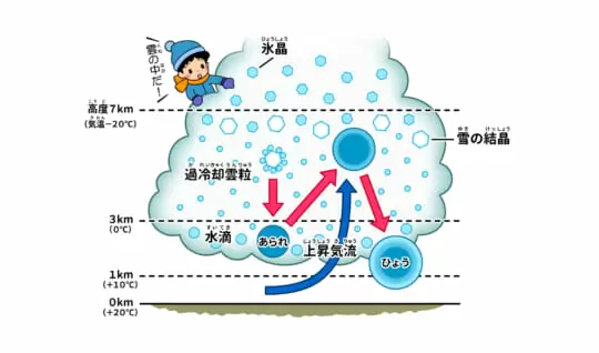 「ひょう」はどんなふうに降ってくるの？