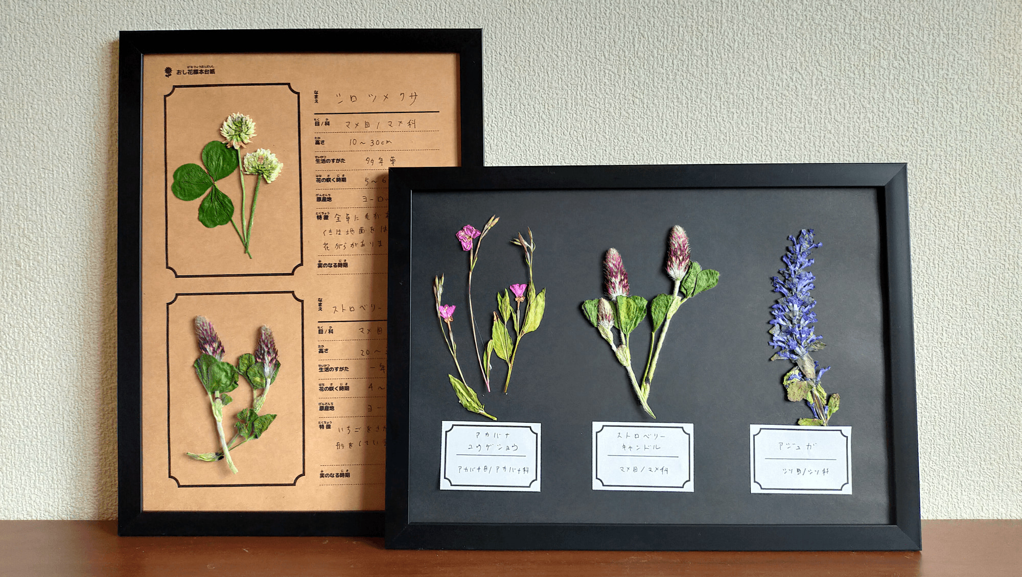 まだ間に合う 1日でできる 夏休みの自由研究 おすすめテーマ8選 教育情報全般 教育情報 保護者の方へ 学研キッズネット