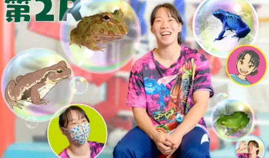 金メダリスト入江聖奈さんのカエル入門　第２R「魅力」編　イボだってかわいい
