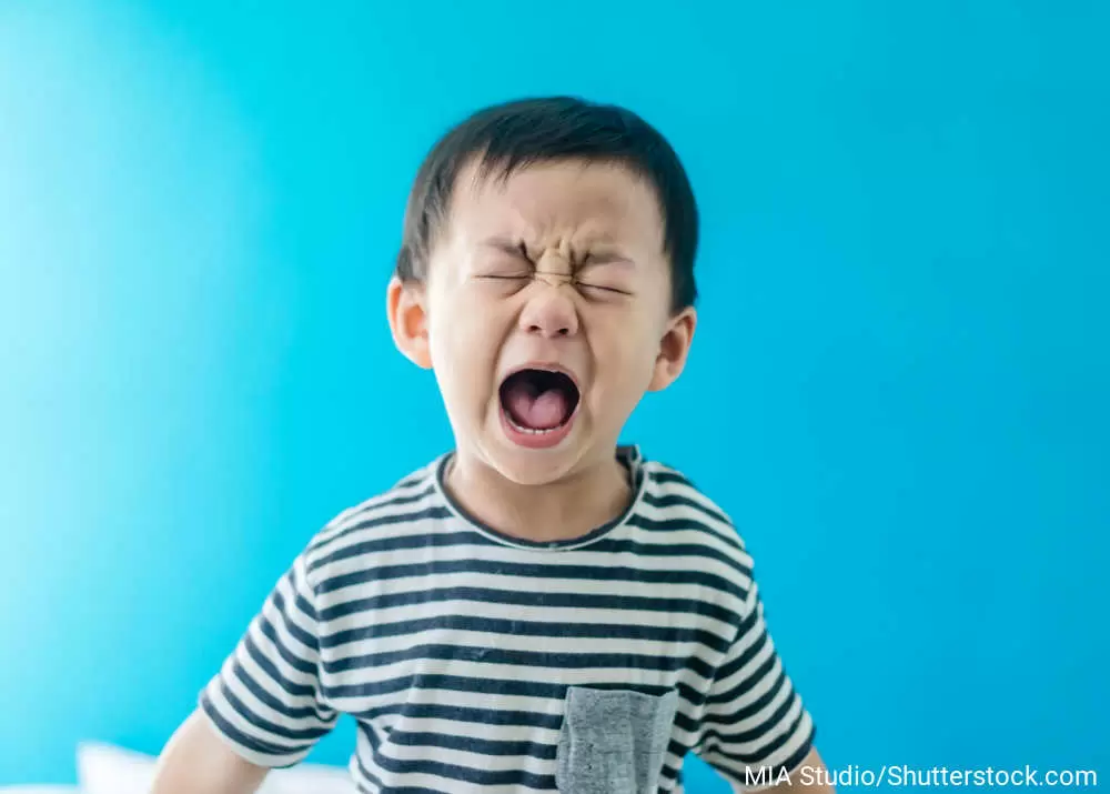 「子育てが楽しくなる小さなヒント」⑳　自己主張とワガママの境界線