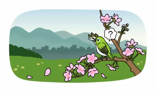 どうして春の空は、白くかすんで見えるの？　黄砂や花粉が関係してるってほんとう？