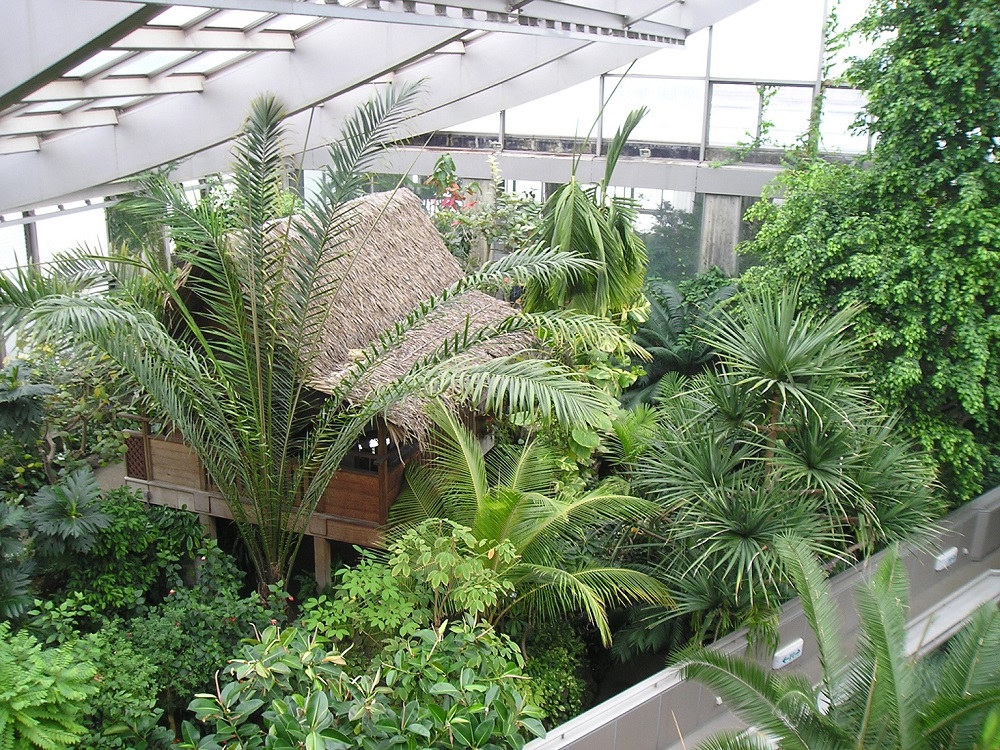 温室の「集落景観」。熱帯の植物に囲まれた小屋