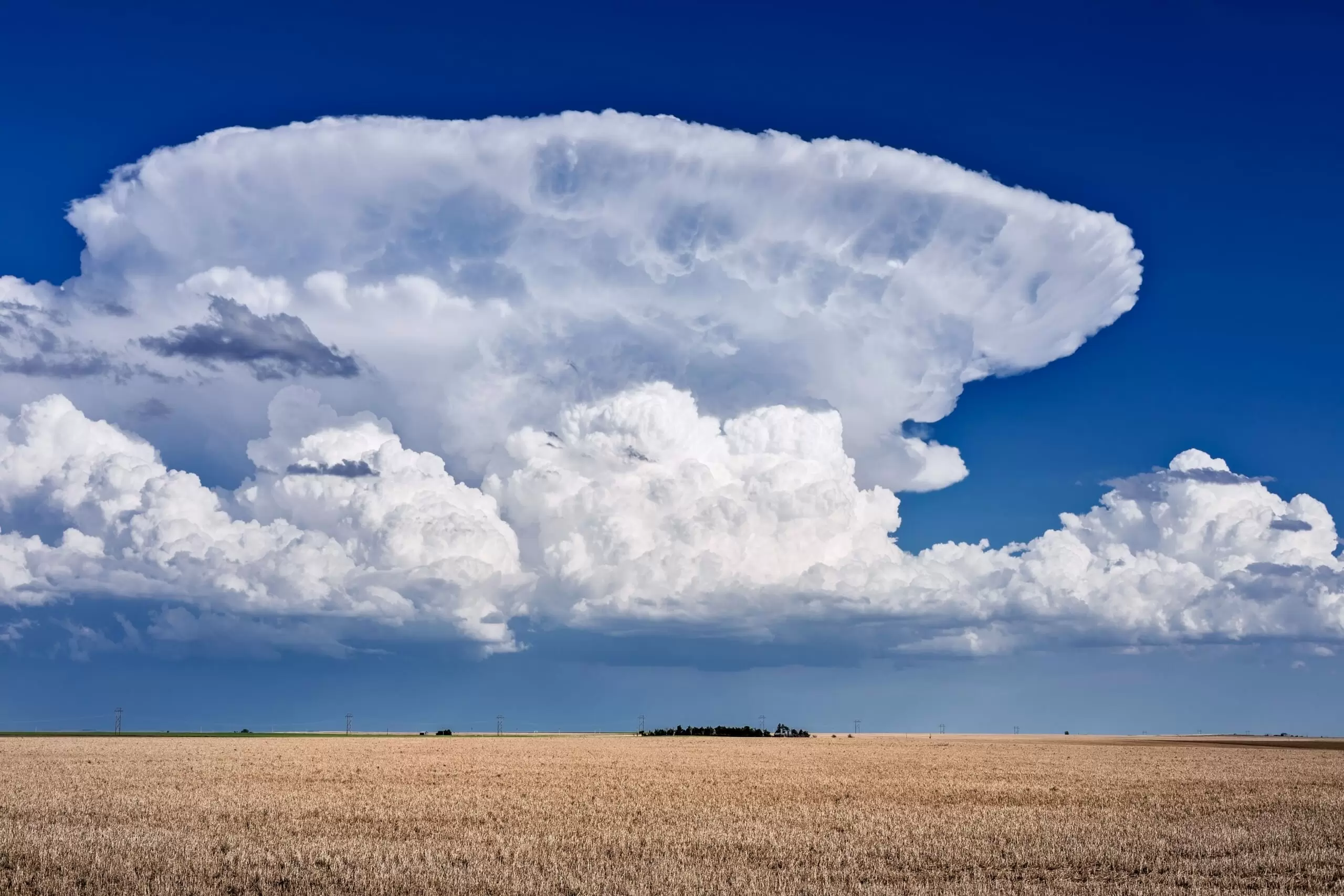 雲の種類っていくつあるの？ カタチによって名前や特徴が違うの？ | 自然 | 科学なぜなぜ110番 | 科学 | 学研キッズネット