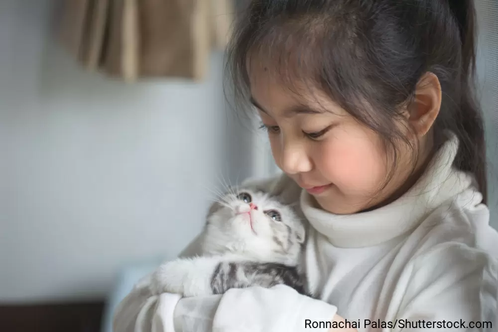 抱いた猫を見つめる女の子