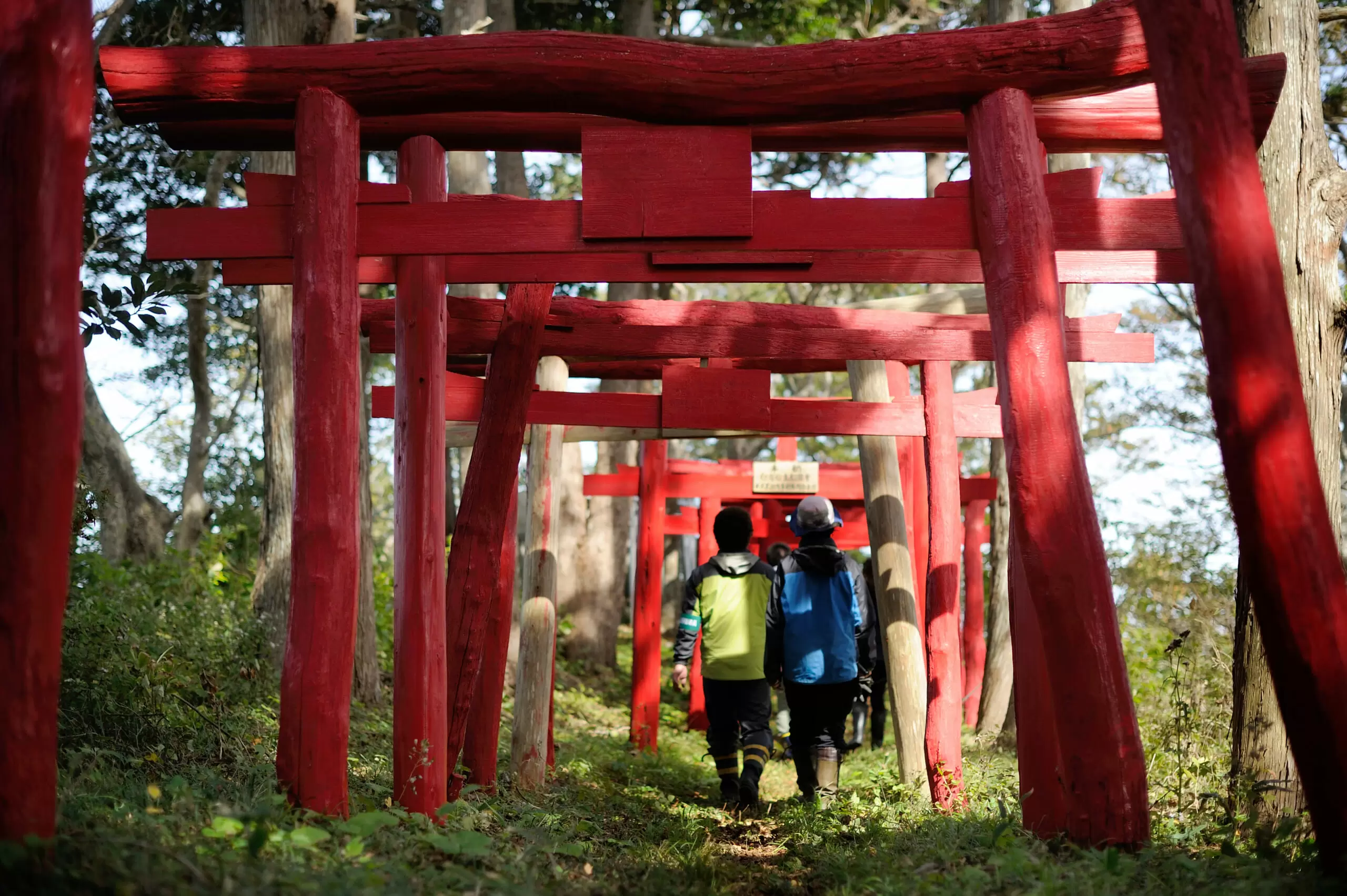 唯一無二の体験とSDGsを叶える旅がトレンド！年末の家族旅行にもおすすめ、子どもの心を育む「サステナブルな旅」って？