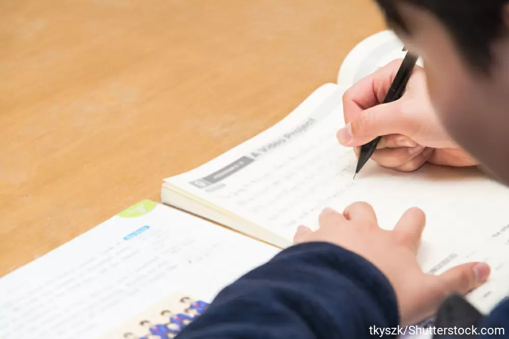 教科書を開いて勉強している男の子
