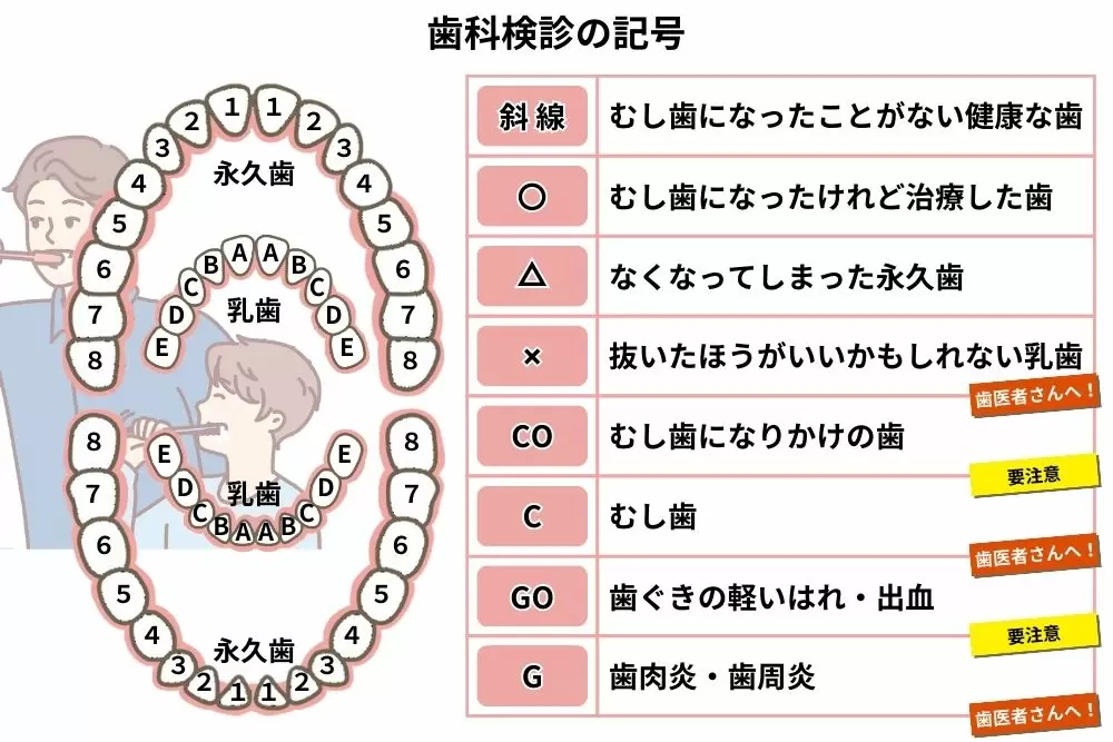 歯科検診記号の解説_学研キッズネット