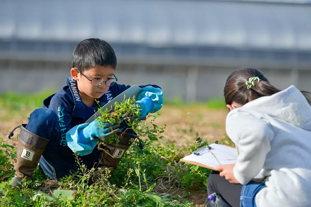 身近な雑草の役割やパワーを学ぶ。畑の中の青空教室【井坂敦子の注目まなびスポット】