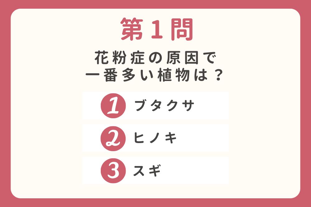 第1問　花粉症の原因で一番多い植物は？ 　①ブタクサ　②ヒノキ　③スギ