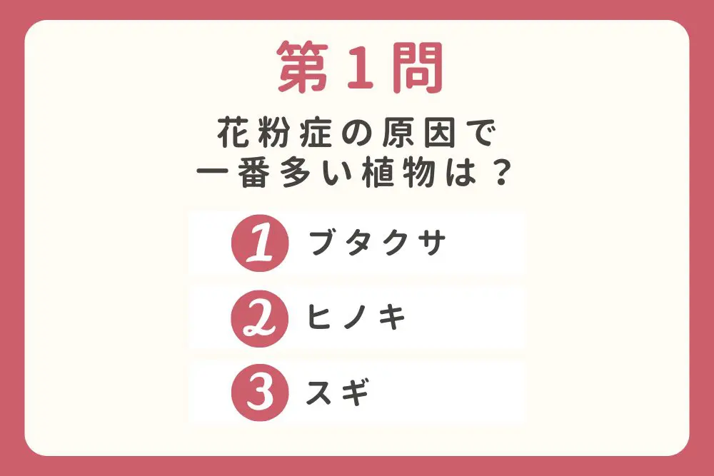 第1問 花粉症の原因で一番多い植物は? ①ブタクサ ②ヒノキ ③スギ