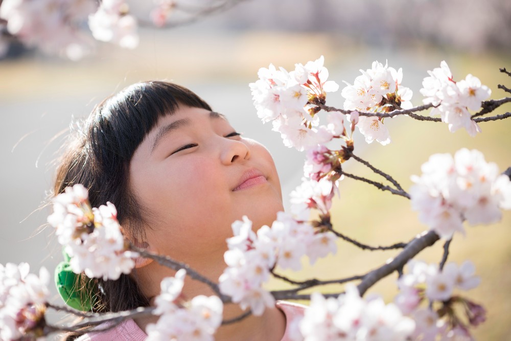 【2025年最新】小学校・中学校の春休みはいつからいつまで？都道府県別「春季休暇一覧」