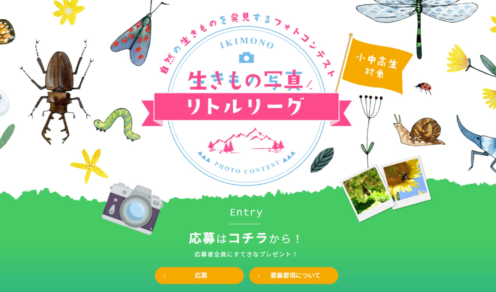 「生きもの写真リトルリーグ」で子どもの”好き”が広がる！