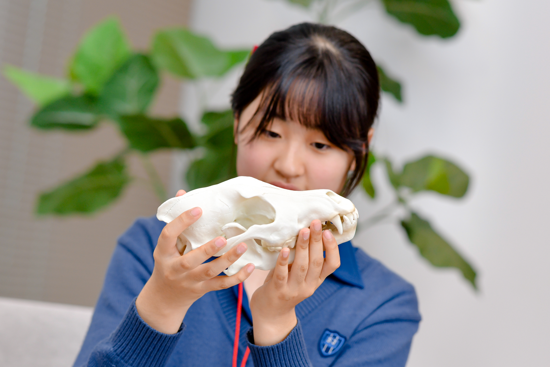 頭骨を持つ日菜子さん