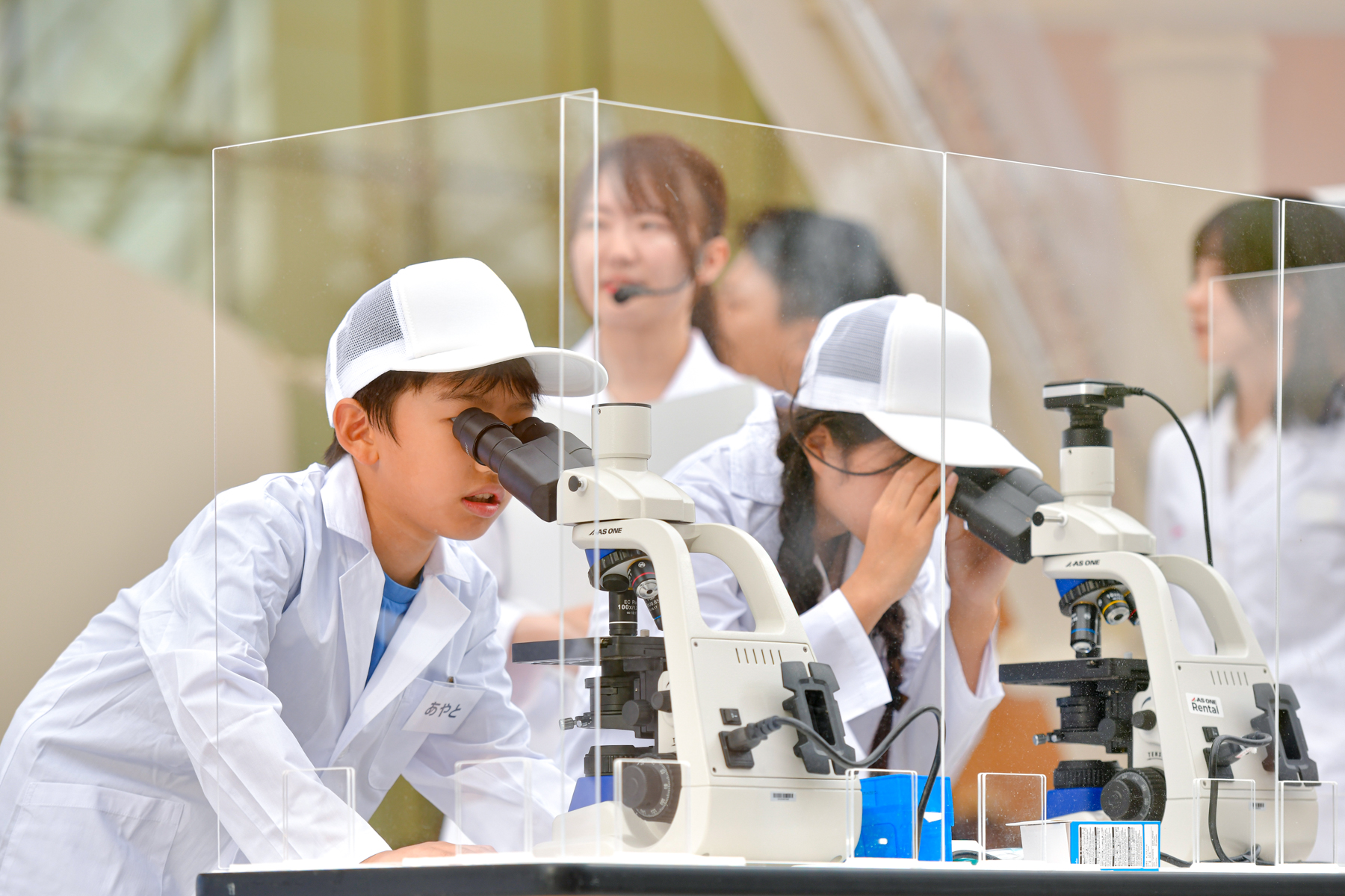 こども研究員が顕微鏡をのぞいている様子