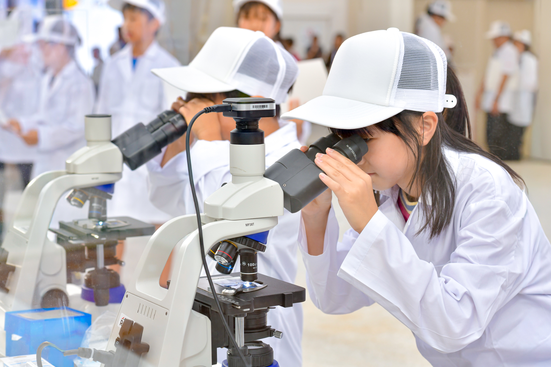 腸内細菌を顕微鏡で見るこども研究員