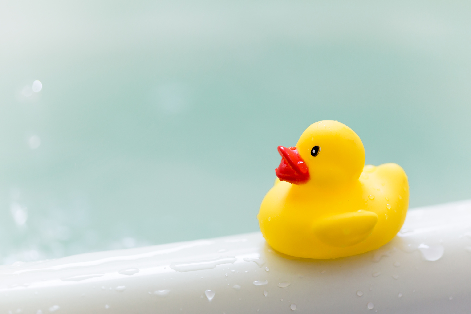 お風呂のアヒル