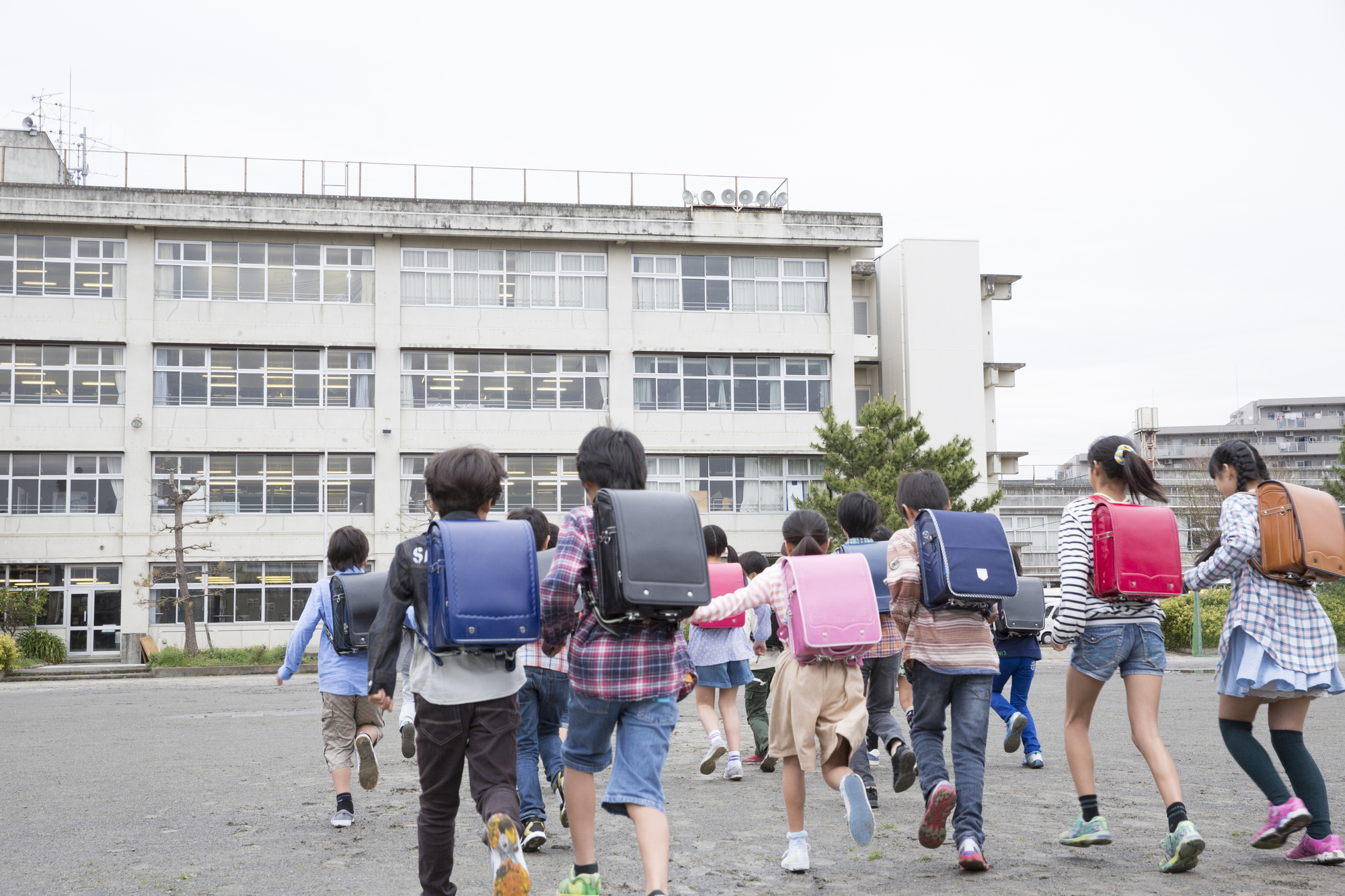 学校に登校する小学生