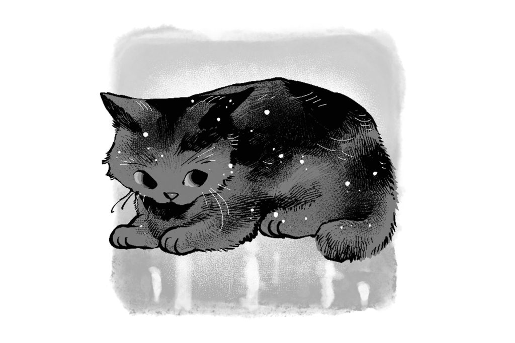 『あの日、ともに見上げた空』