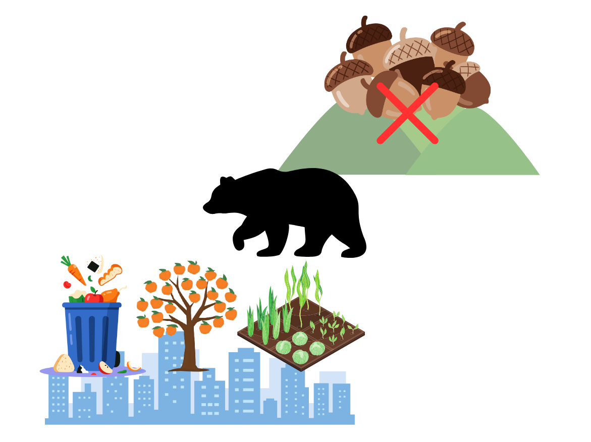 クマが街に出る理由の図解