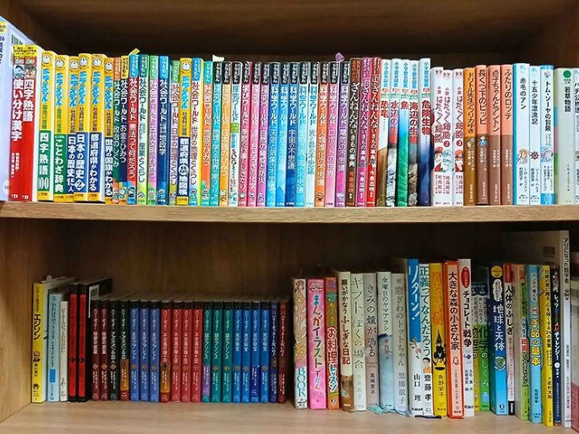 中学入試・合格者の本棚① 女子学院へ進学～読書習慣が育んだ多角的な