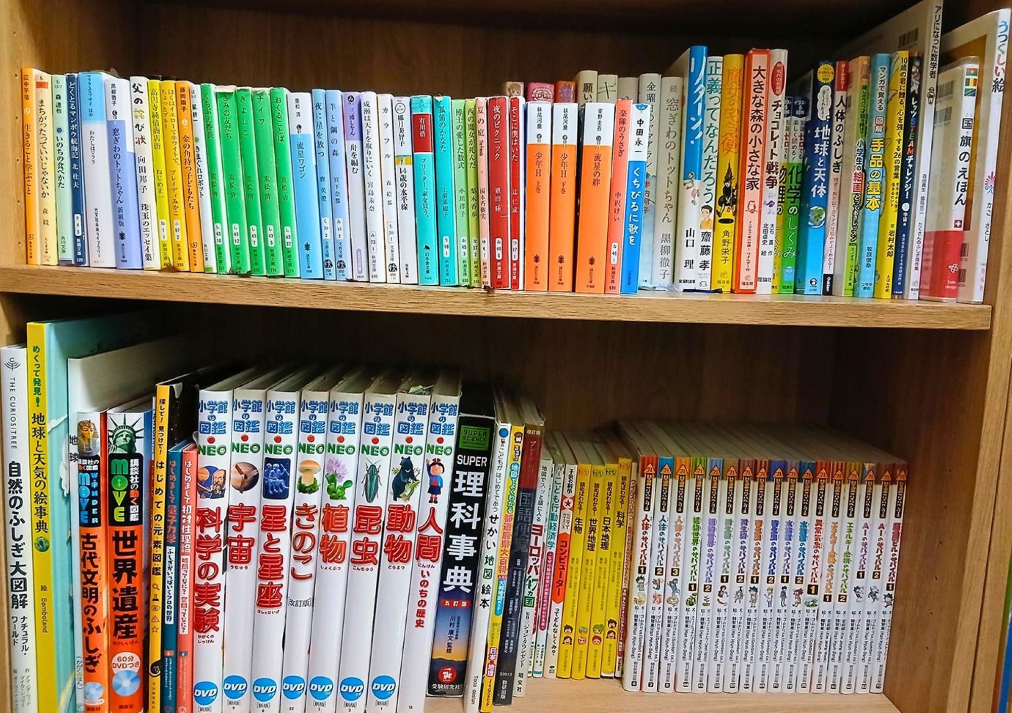 図鑑類は学校の宿題にも活躍(Yさん提供)