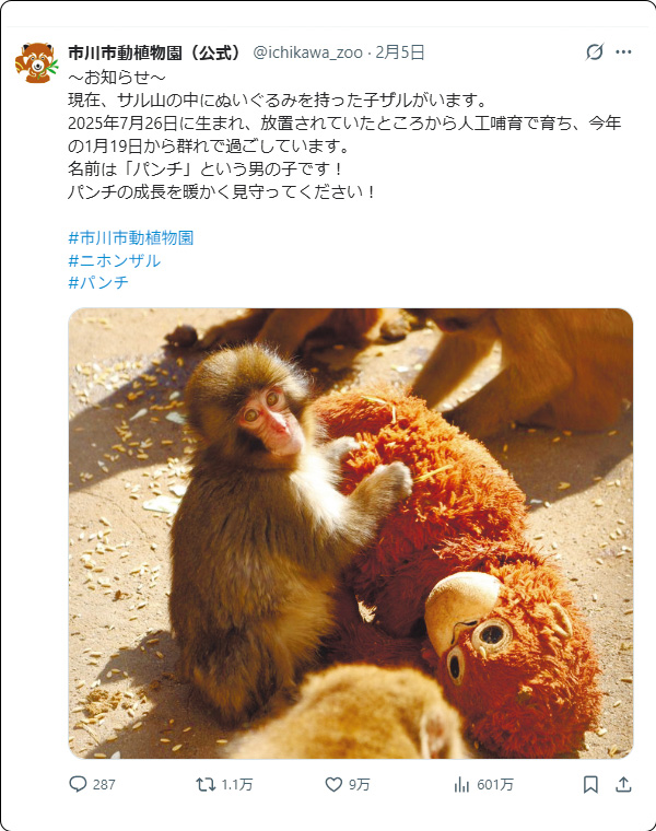 パンチくん投稿