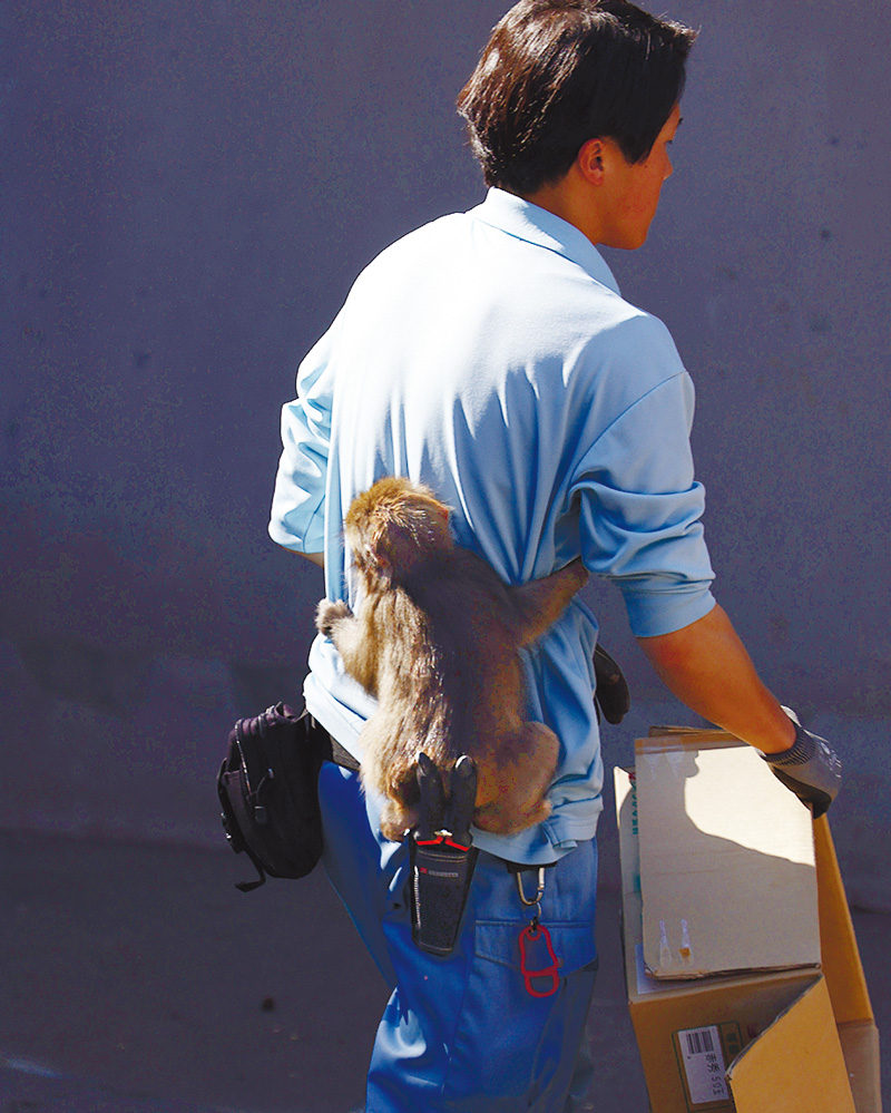 4月3日、千葉県の市川市動植物園 ©朝日学生新聞社