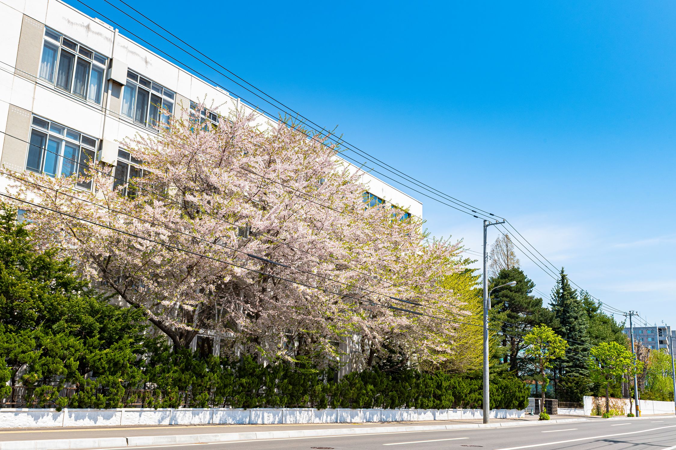 札幌光星中学校の校舎