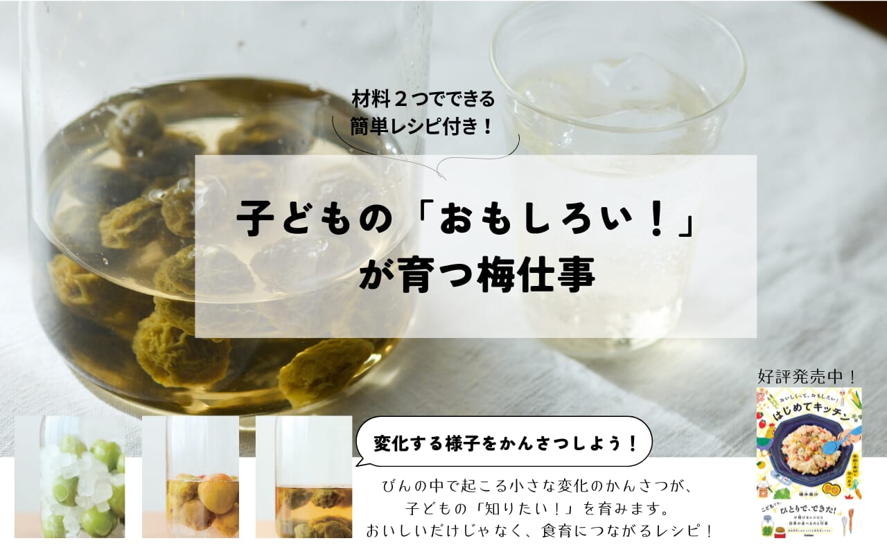 【料理家・榎本美沙さん直伝】親子で一緒に!子どもの発見につながる「梅シロップ」づくりが自由研究にオススメ