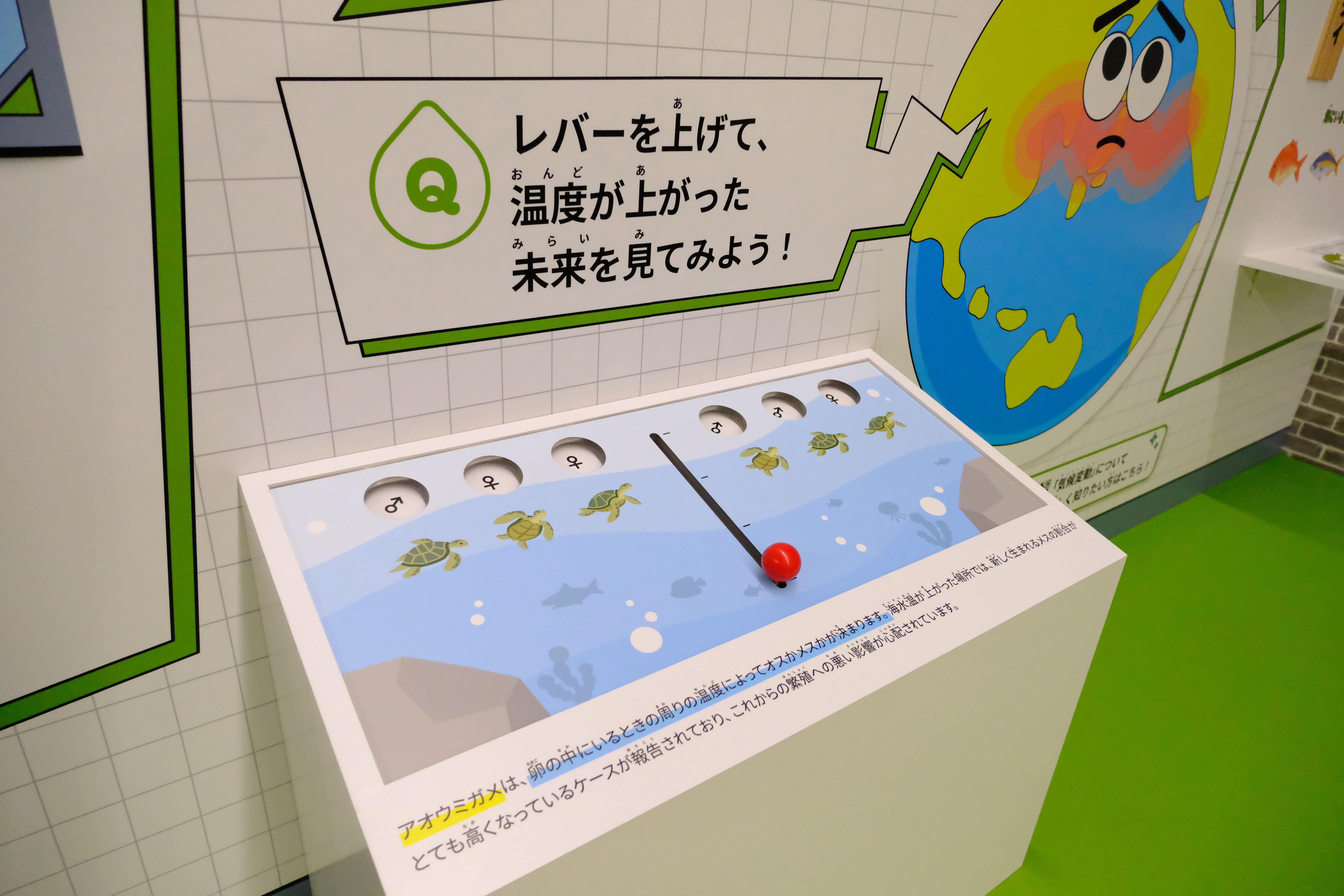 ゼロエミッションスクールの展示