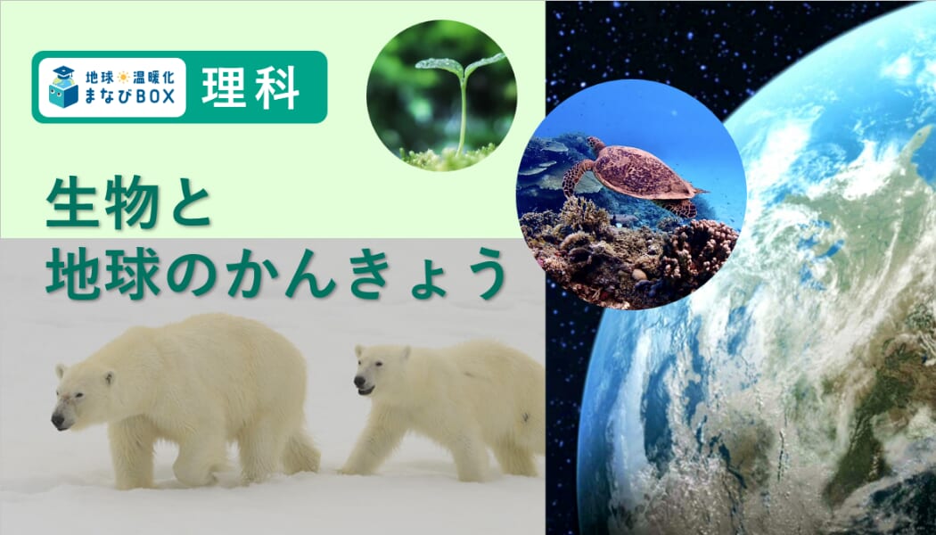 生物と地球のかんきょう表紙