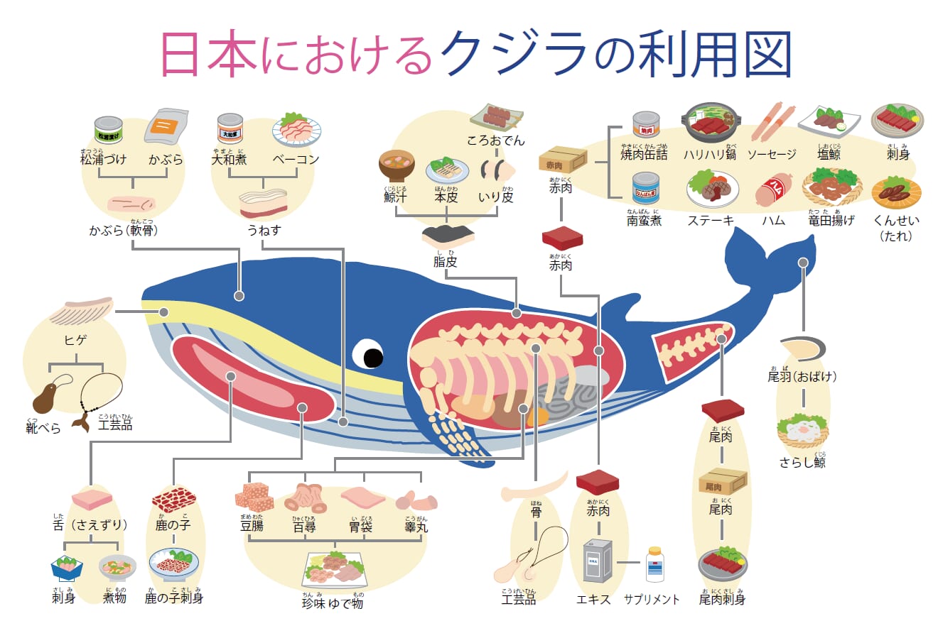 日本におけるクジラの利用図