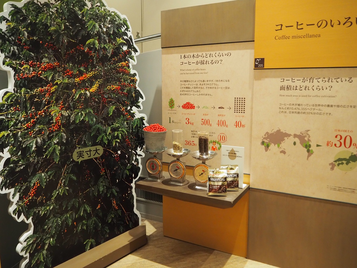 UCCコーヒー博物館の展示