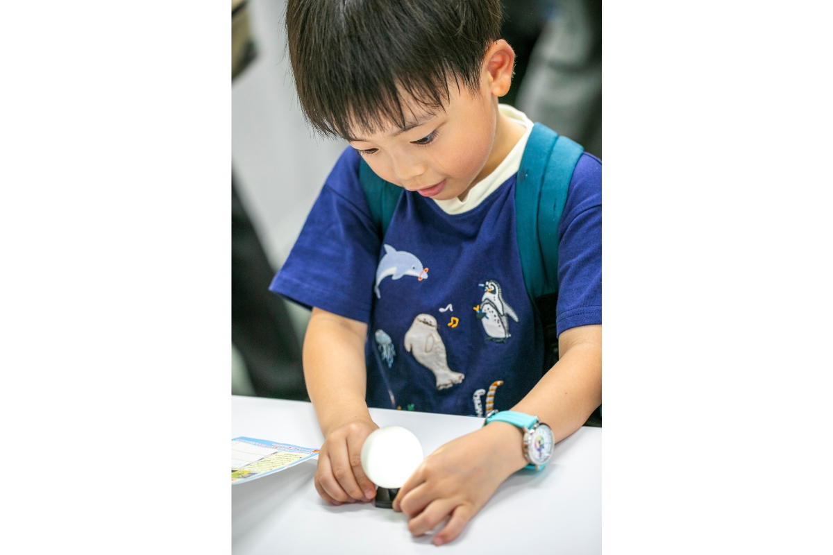 ガチャガチャの景品を触る男の子