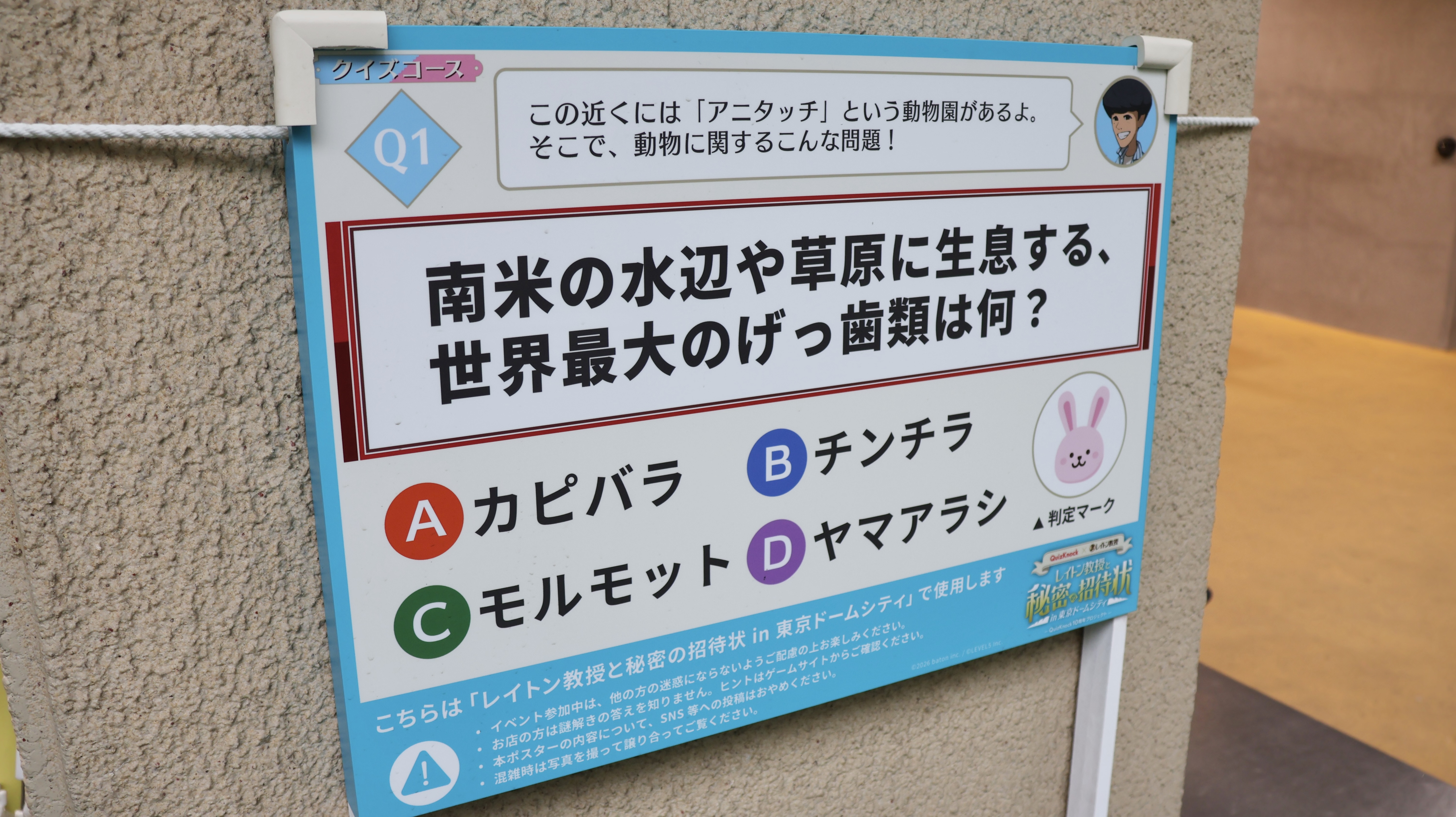 クイズ1