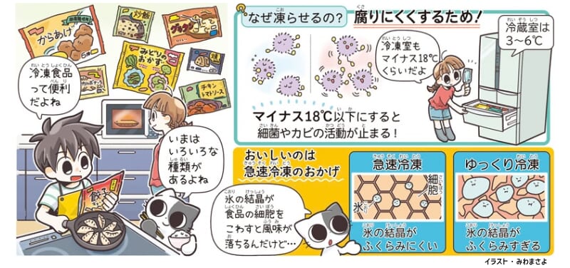 冷凍食品の解説画像